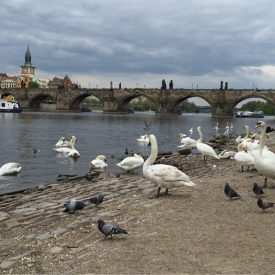 Bahrainitravel1's profile picture. 