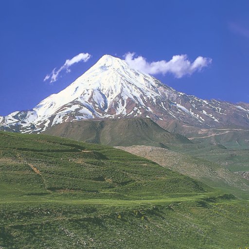 ParastooHadidi's profile picture. 