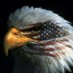 Anthony Spero (@laterra5546) Twitter profile photo Anthony Spero (@laterra5546) Twitter profile photo