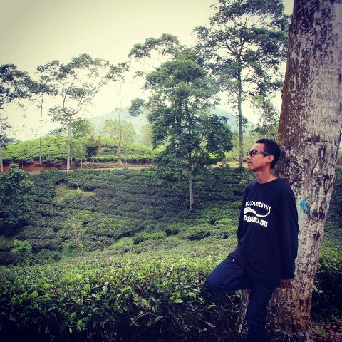 wa: 085320093618