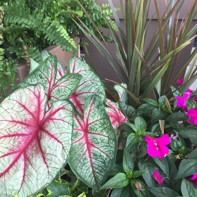 jazp_Angela's profile picture. Just browsing