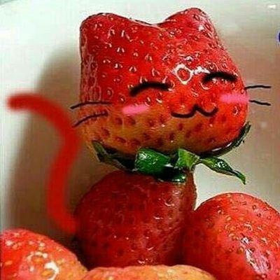 _kitsune_lovers's profile picture. 