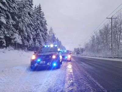 pchas12's profile picture. 