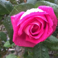 khaled algamdi (@mmnn35mnn) Twitter profile photo