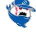 Mid Michigan Bandits (@midmibandits) Twitter profile photo Mid Michigan Bandits (@midmibandits) Twitter profile photo