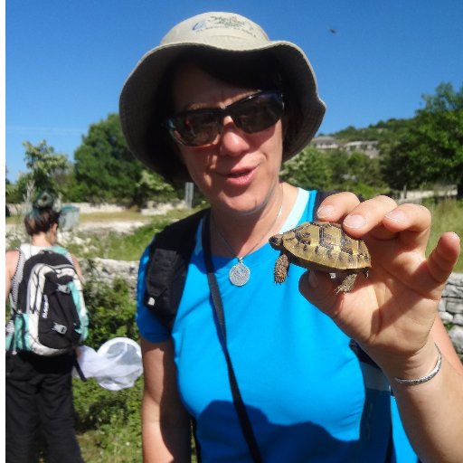 PhD @_SLU working on large scale biodiversity #conservation in forested habitats; #Natura2000, #GreenInfrastructure, #ProtectedAreas, formerly AK, own views