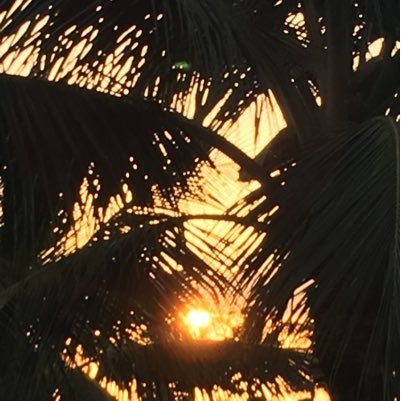 suehumphrey4's profile picture. 