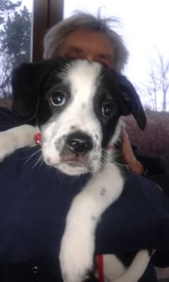 CarmelaMiceli6's profile picture. 