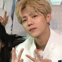 svd (@lucuit) 's Twitter Profile