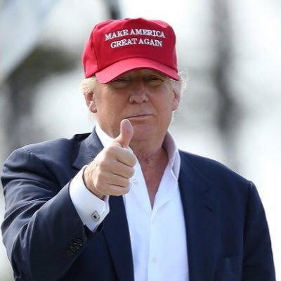 usarepublicann's profile picture. KEEP AMERICA GREAT #MAGA #Trump2020