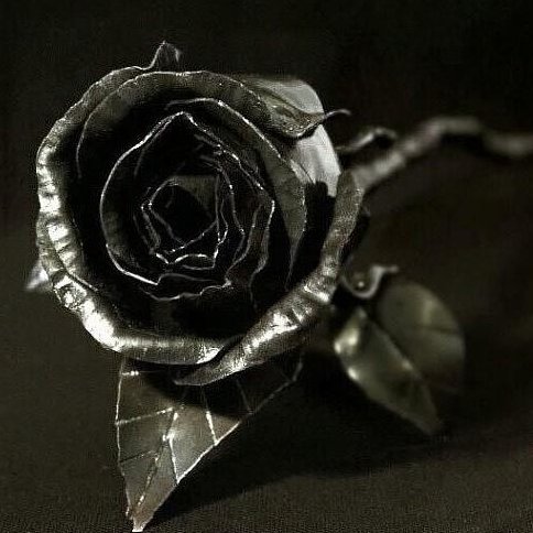 gingy7777's profile picture. 