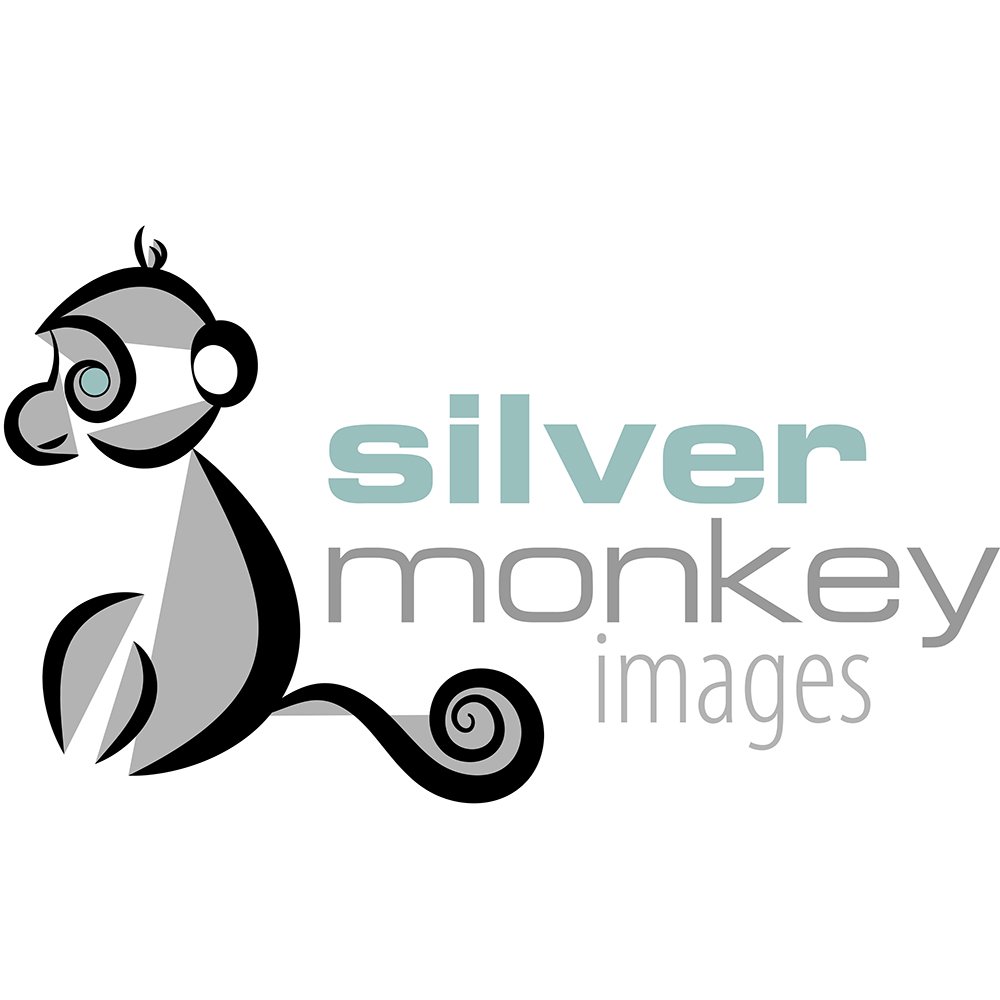 Silver Monkey