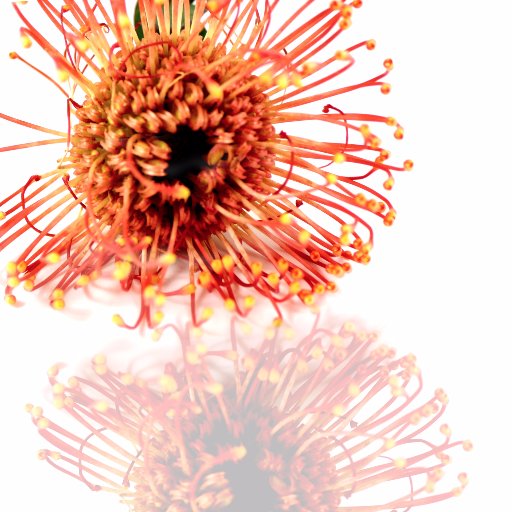 AWeekFilms's profile picture. Previously: @PushingOutDaisy; latest project is #petalsandstemsfilm, crowdfunded on @seedandspark (dir by Alison Week)