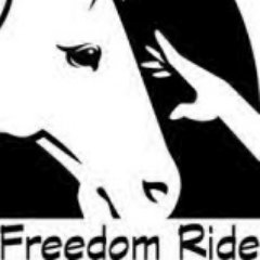 🐴Freedom Ride, Inc. is a non-profit organization dedicated to enriching the lives & experiences of individuals w/ disabilities in the Central Florida area.