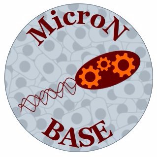 Experimental and theoretical investigation of phenomena at the interface of biological and synthetic systems at the micro/nanoscale. RT are not endorsements.