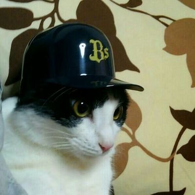 Teacher_Itoh's profile picture. 