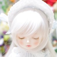 .°ʚ𝓐𝓞𝓘ɞ°. (葵) (@kibi_aoi) Twitter profile photo