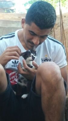 Rodrigogalo722's profile picture. 