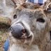 Jake 🤬 (@jakeoffyt) Twitter profile photo