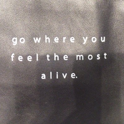 salhethail's profile picture. و لي أملٌ بربي لا يخيب ..