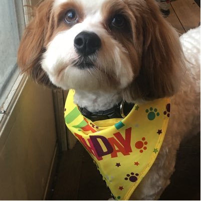 judyfromcinti's profile picture. 