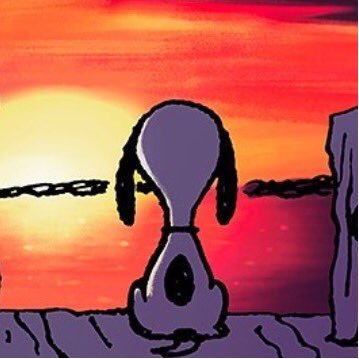 socialdust's profile picture. Hello.