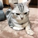 れいな (@07_ruuui) Twitter