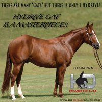 sdpBuffaloRanch's profile picture. Home to Elite Champions: TR Dual Rey, Hydrive Cat, RC Fancy Step, Laredo Blue, Meradas Blue Sue, and Highlightcat.  Leaders in the Performance Horse Industry.