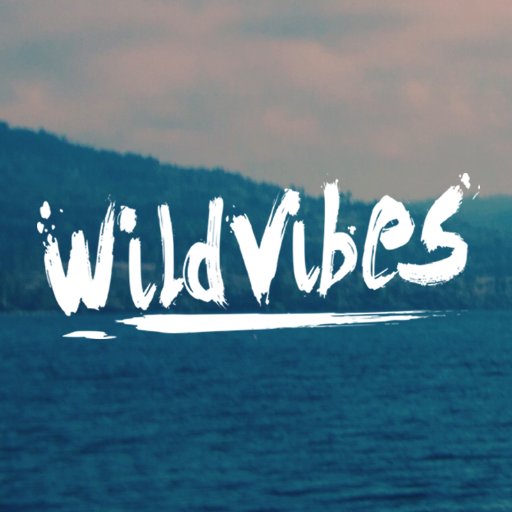 wildvibestunes's profile picture. Promo, contact, booking, ghostproductions:
wildvibesmusic@outlook.com