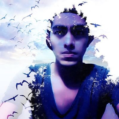 rivelsstorm's profile picture. silverstorm