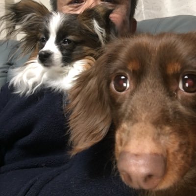 初めまして、hiroと申します(*^^)v 愛犬ミニチュアダックスのcocoとsaxphoneとgolfをこよなく愛してます(^_-)-☆