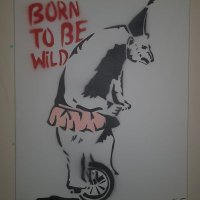 Iestyn Shaw (@iestynshaw) 's Twitter Profile