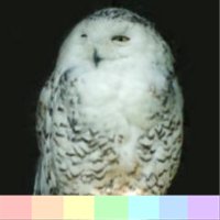 Willow (@captain_willow_) 's Twitter Profile
