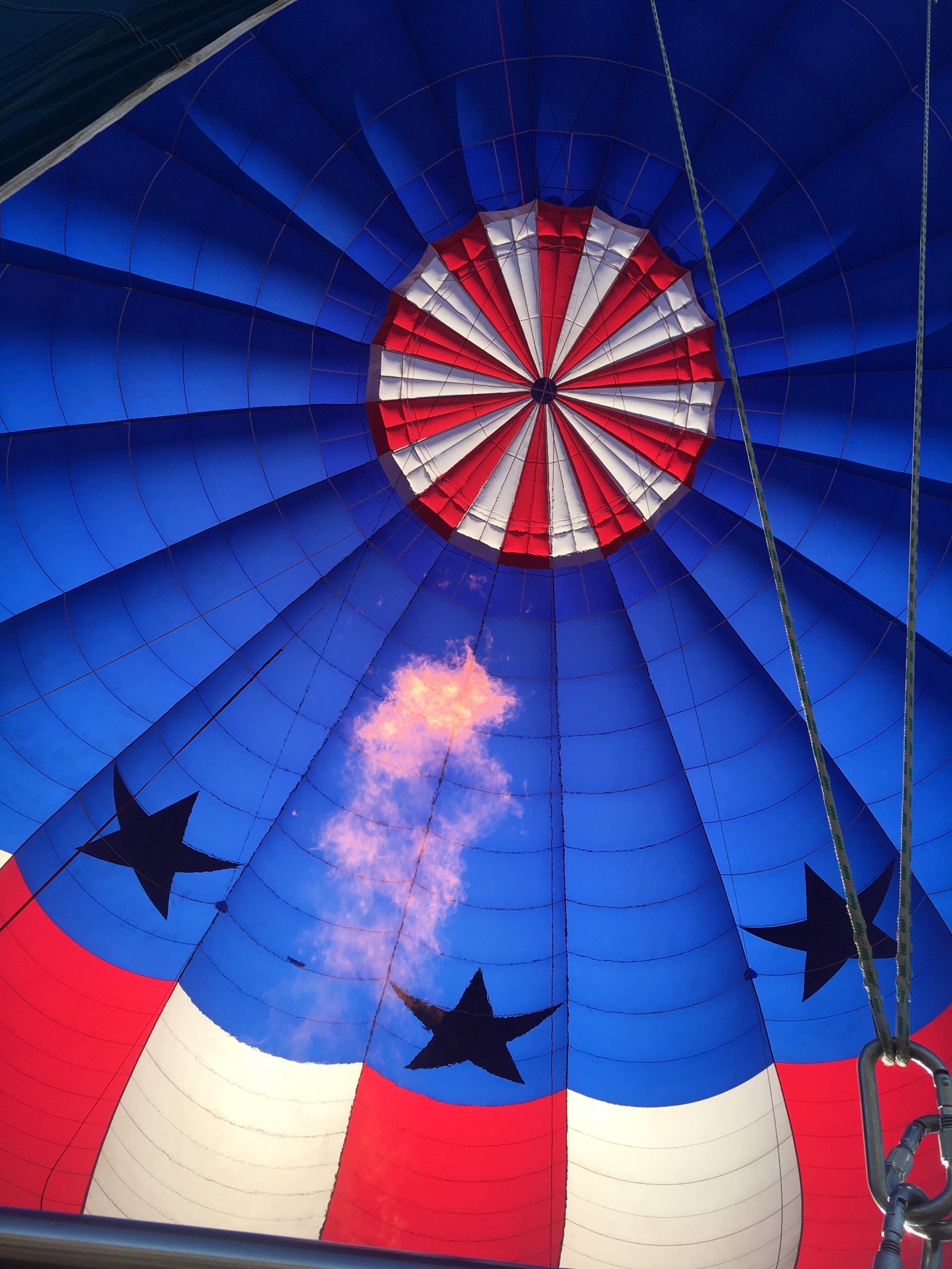 ImprovePolitix's profile picture. Political activist living in NM, USA.