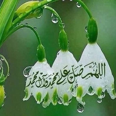 mnoor22k's profile picture. 