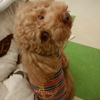 mop (@mopmop123456) 's Twitter Profile Photo mop (@mopmop123456) 's Twitter Profile Photo