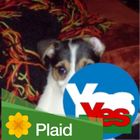 España por favor🇪🇸🇺🇦🏴 (@ruthferrisprice) 's Twitter Profile Photo España por favor🇪🇸🇺🇦🏴 (@ruthferrisprice) 's Twitter Profile Photo