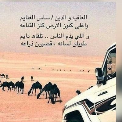 M9141M's profile picture. 