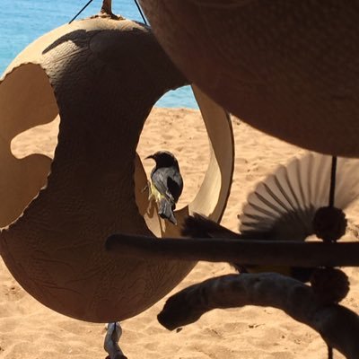 Manoclem1's profile picture. 