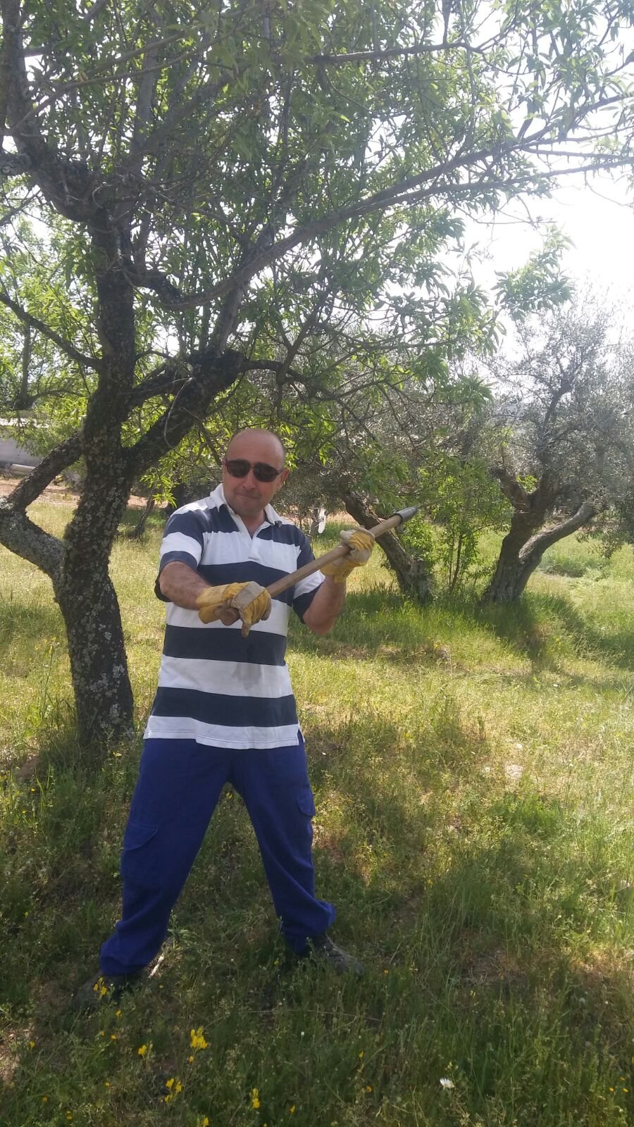 Jeronimobaeza's profile picture. 