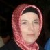 şeminuryerli (@seminuryerli) Twitter profile photo şeminuryerli (@seminuryerli) Twitter profile photo