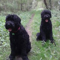 paul meakin (@pm3eak) 's Twitter Profile
