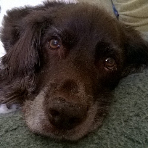 la9223's profile picture. Love all things mystical and mechanical. Proud supporter of Scotland RU & Glasgow Warriors. Only 50% Glaswegian so I'm in the mongrel cheering squad!