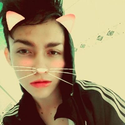 andres313212's profile picture. 