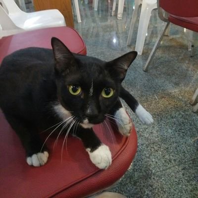 ja_Somsanid's profile picture. 