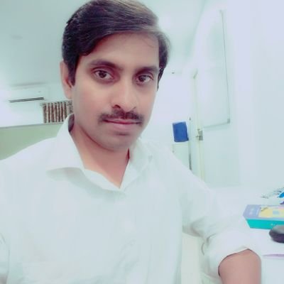 Web Designer