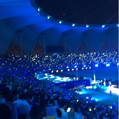 asalfl11's profile picture. 