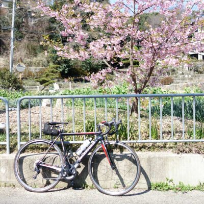 おっさんになってから自転車に目覚め、大阪・兵庫・京都辺りをのんびりとマイペースで走っています。愛車はDedaccialのGladiatoreです。