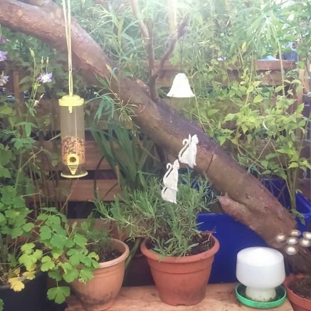 EileenSangye's profile picture. Creative spirit with ideas a plenty.
My life has been fraught with leaps of faith over crises, with joy and sadness, love and gratitude throughout.