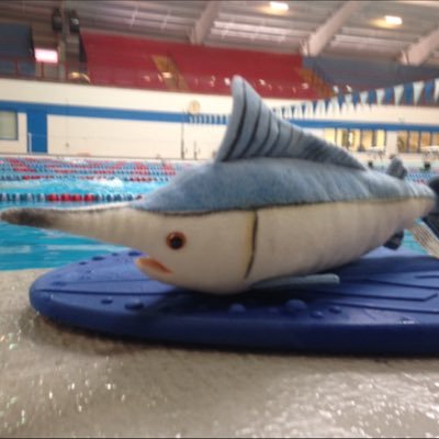 KMSC_OK's profile picture. Sports